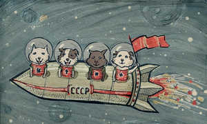 собаки космонавты